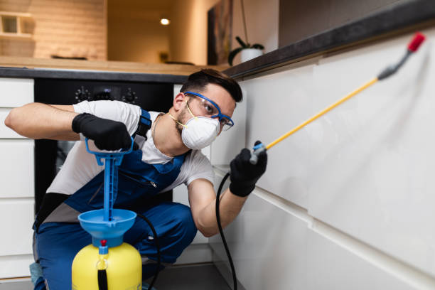 Flea Control Services in Winter Haven, FL