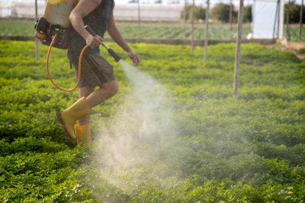 Best Exterminator Services  in Winter Haven, FL
