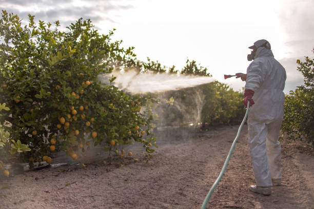 Best Residential Pest Control  in Winter Haven, FL