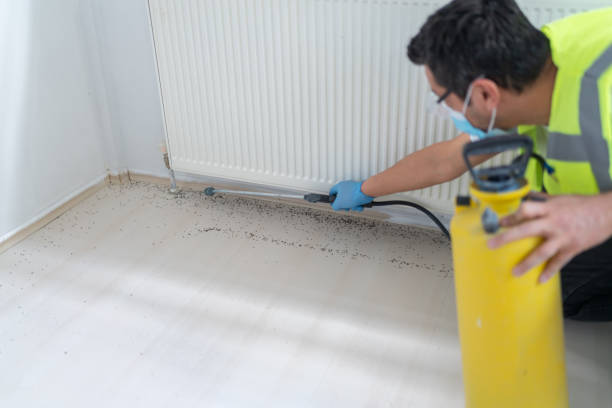 Best Best Pest Control Companies  in Winter Haven, FL