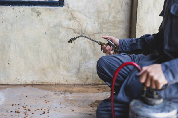  Winter Haven, FL Pest Control Pros